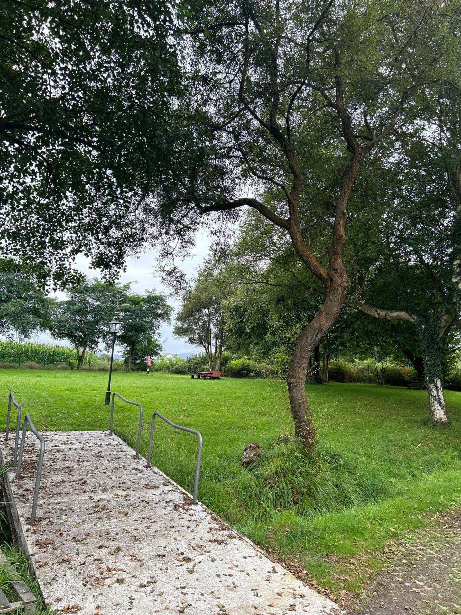 Camping A Grandella El Franco Ngoại thất bức ảnh